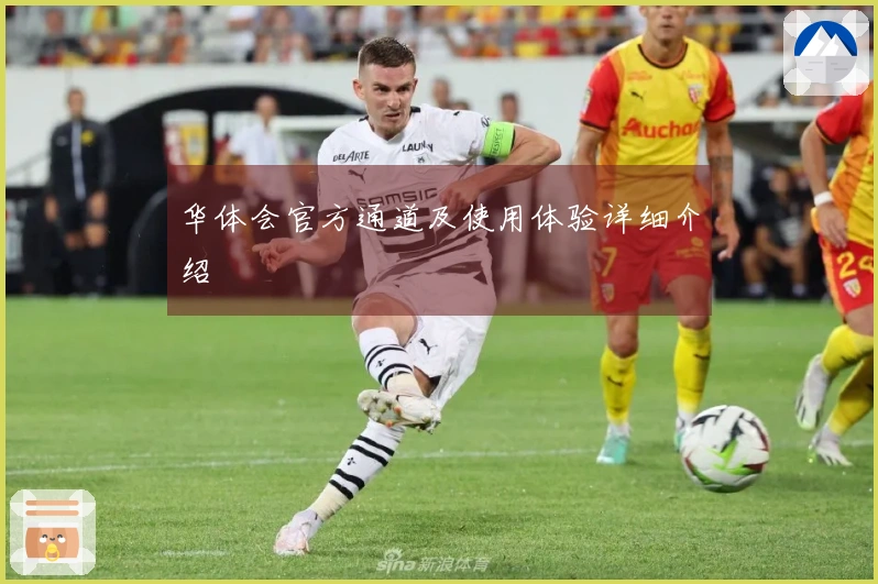 华体会官方通道及使用体验详细介绍