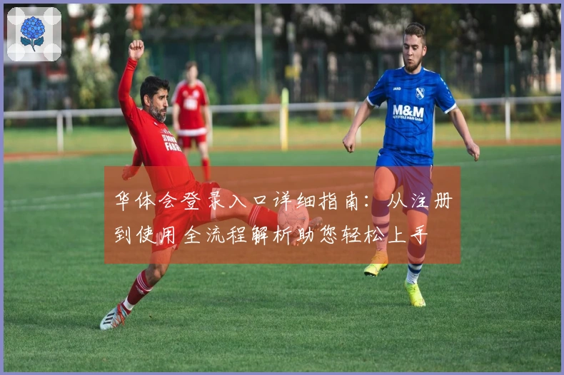 华体会登录入口详细指南：从注册到使用全流程解析助您轻松上手